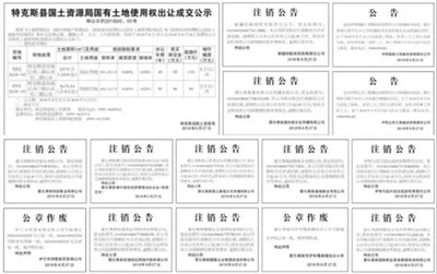 霍爾果斯公司注銷