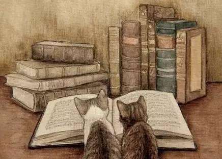 復(fù)旦金融專碩